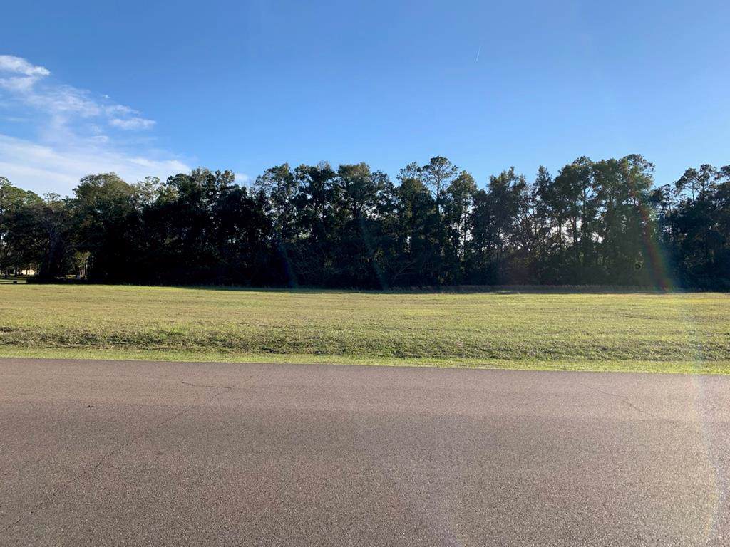 Lot 3 5th Ave. - Photo 1