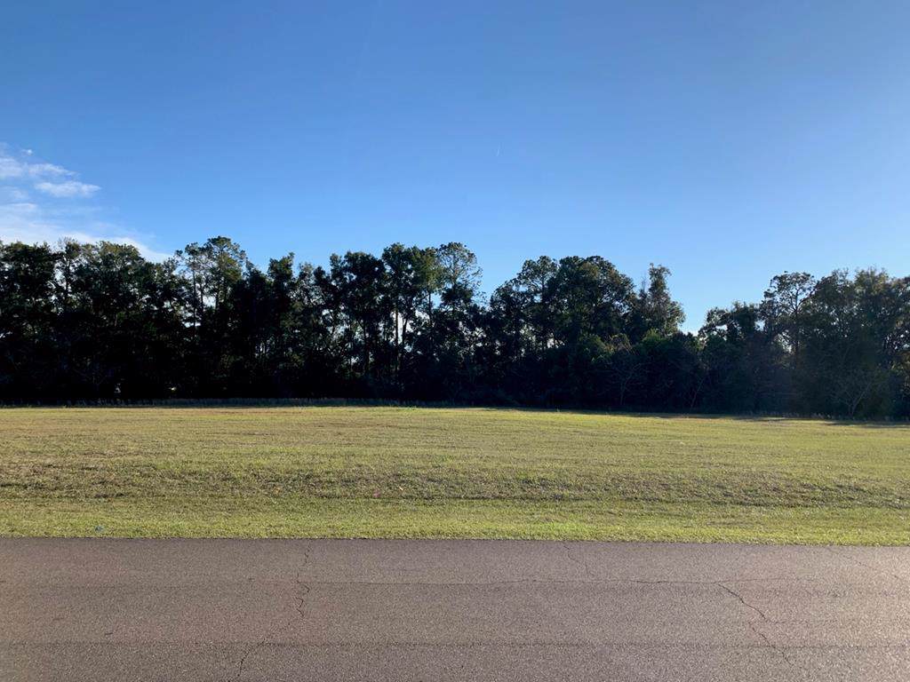 Lot 4 5th Ave - Photo 1