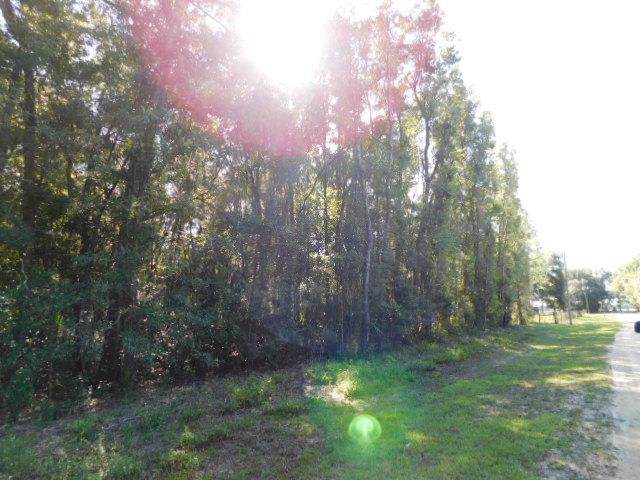 76th Avenue - Photo 1