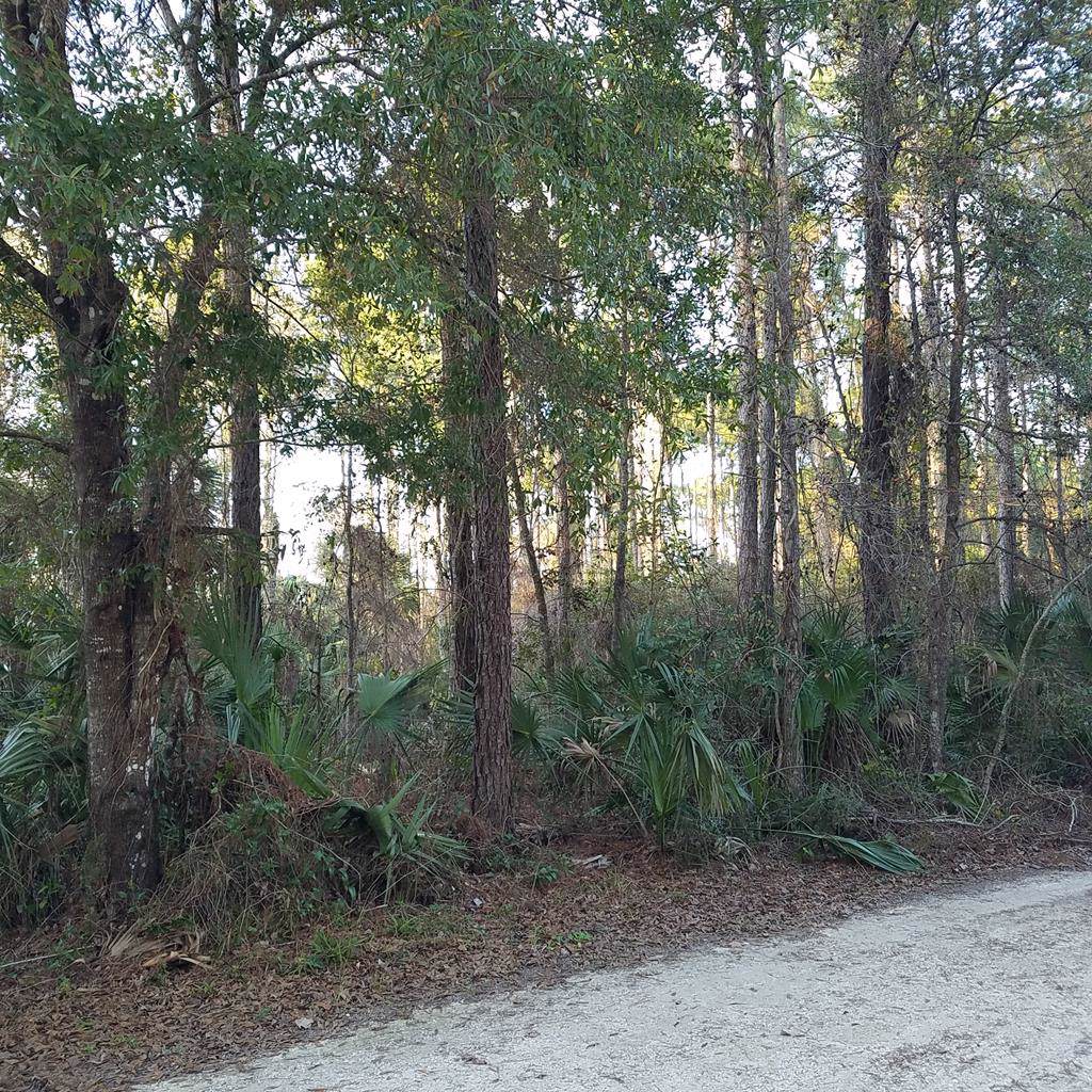 72nd Lane - Photo 1