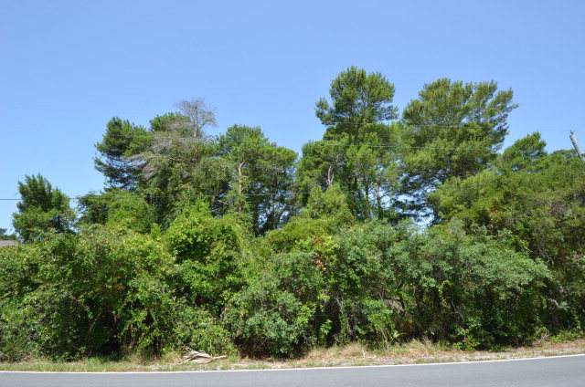 Lot 4 165th Ave - Photo 1