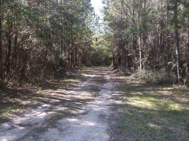 2080 87 Lane - Photo 1