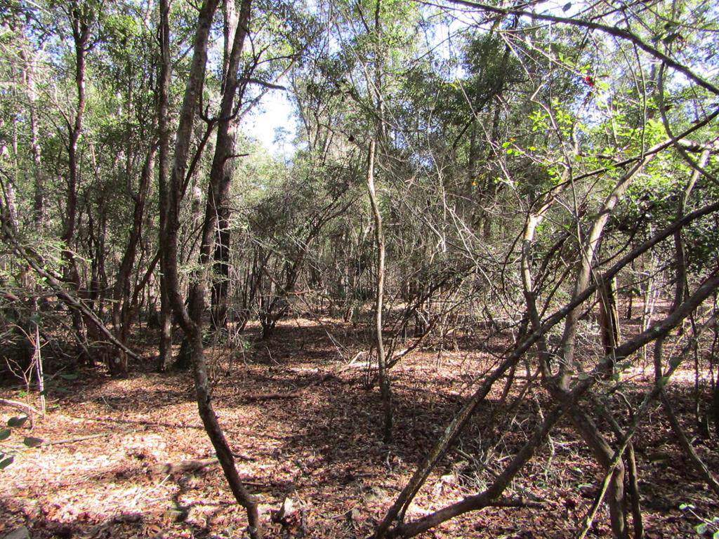 TBD 120th Trail - Photo 1