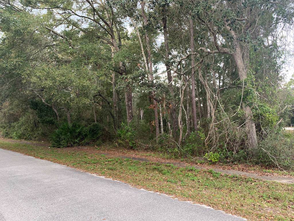 84th Terrace - Photo 1