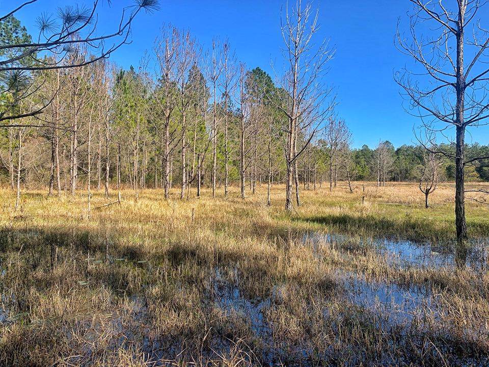 Asbell Creek Rd - Photo 1