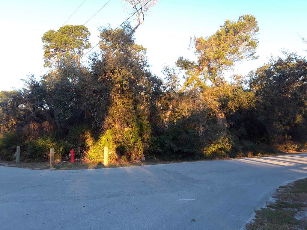 Merle Avenue - Photo 1