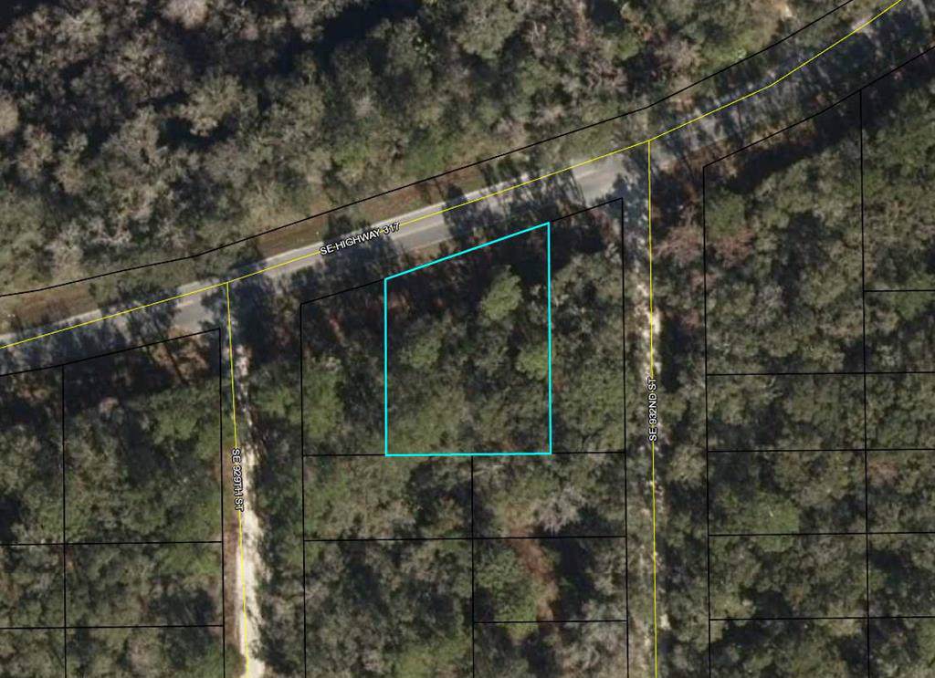Lot 2&3 Cr 317 - Photo 1
