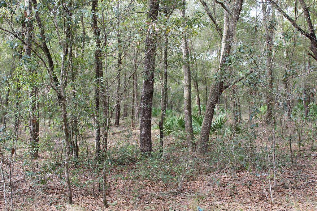 Lot 24 73 CT - Photo 1