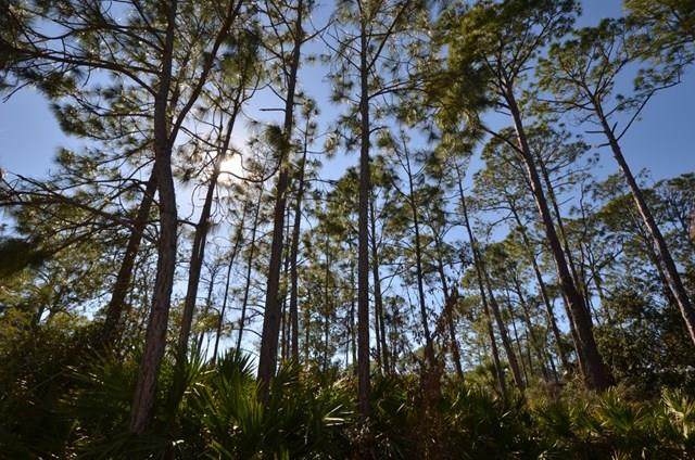 Lot 26 Museum Dr Easement - Photo 1