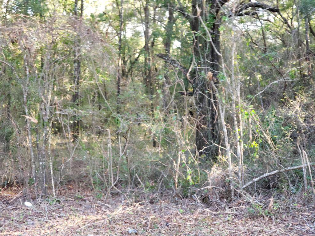 Cr 354 - Photo 1