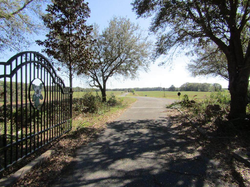 Lot 6 31st Ave - Photo 1