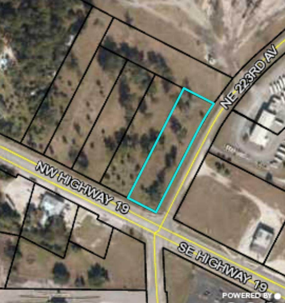15579 Us Highway 19 - Photo 1