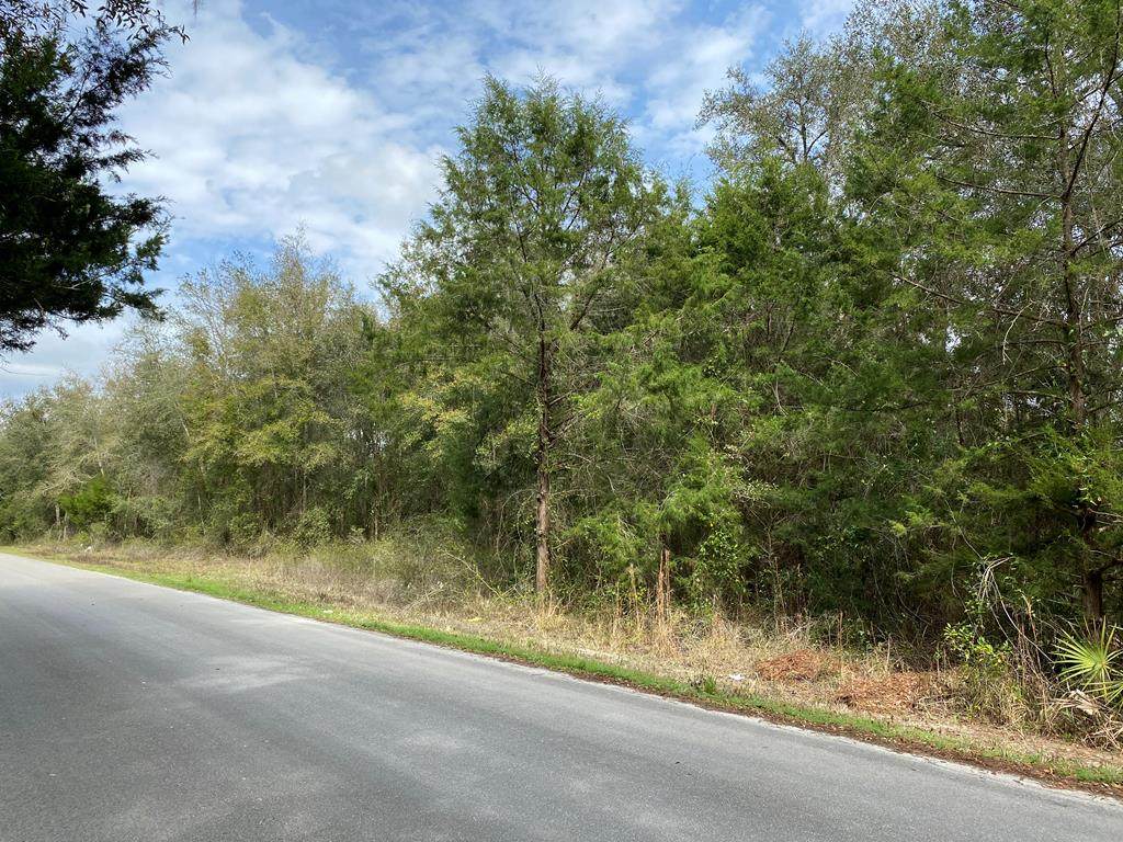 Parcel 6 Roosevelt Cir - Photo 1