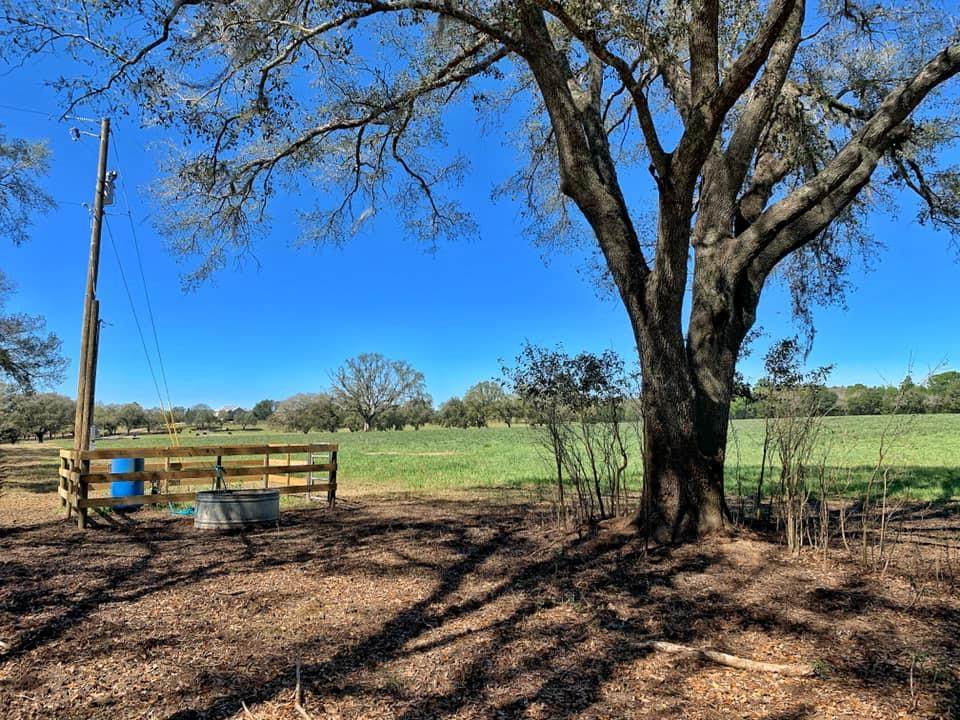 Lot 3 150th Ave - Photo 1