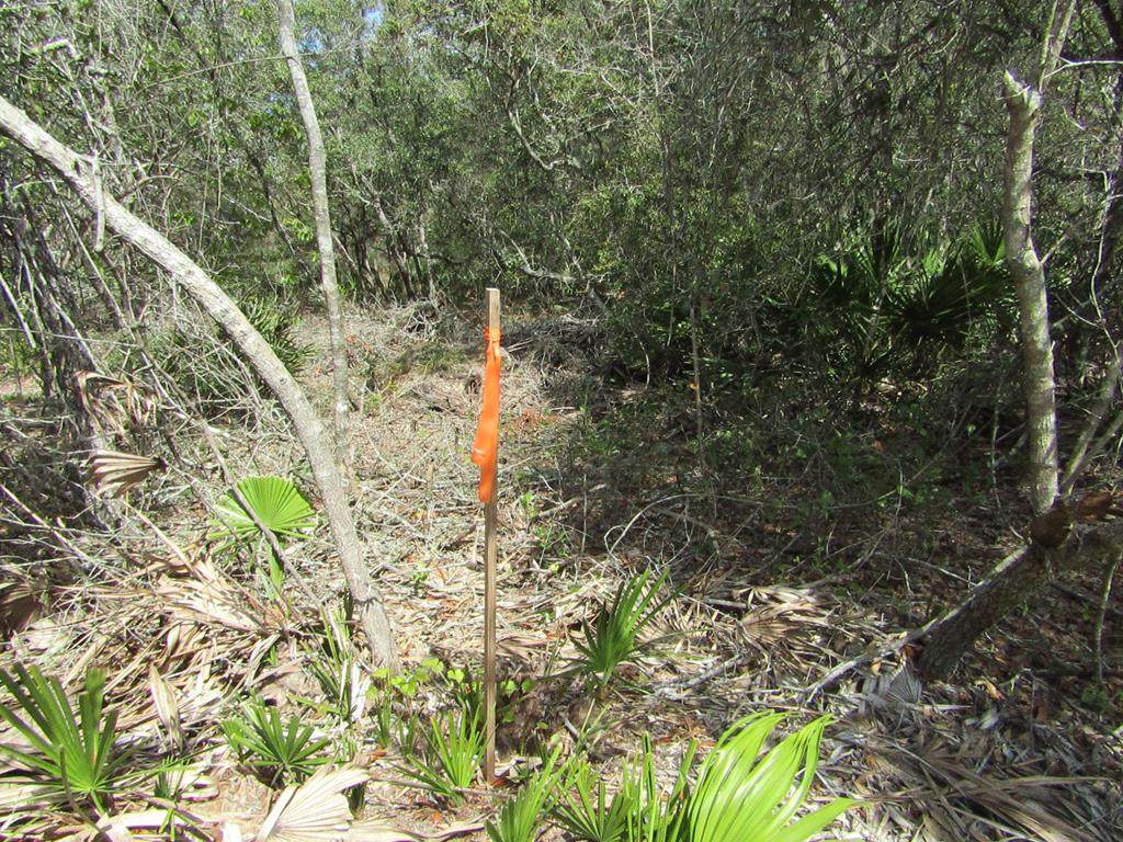 TBD Riverview Road - Photo 1