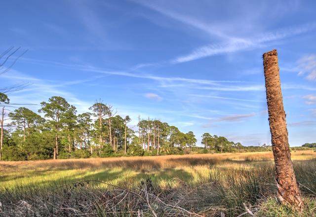Lot 23 Watson Circle - Photo 1