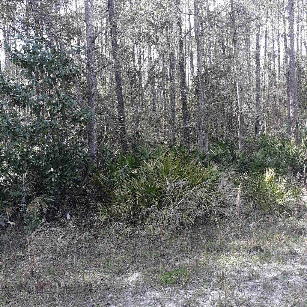Lot 81 791st Street - Photo 1