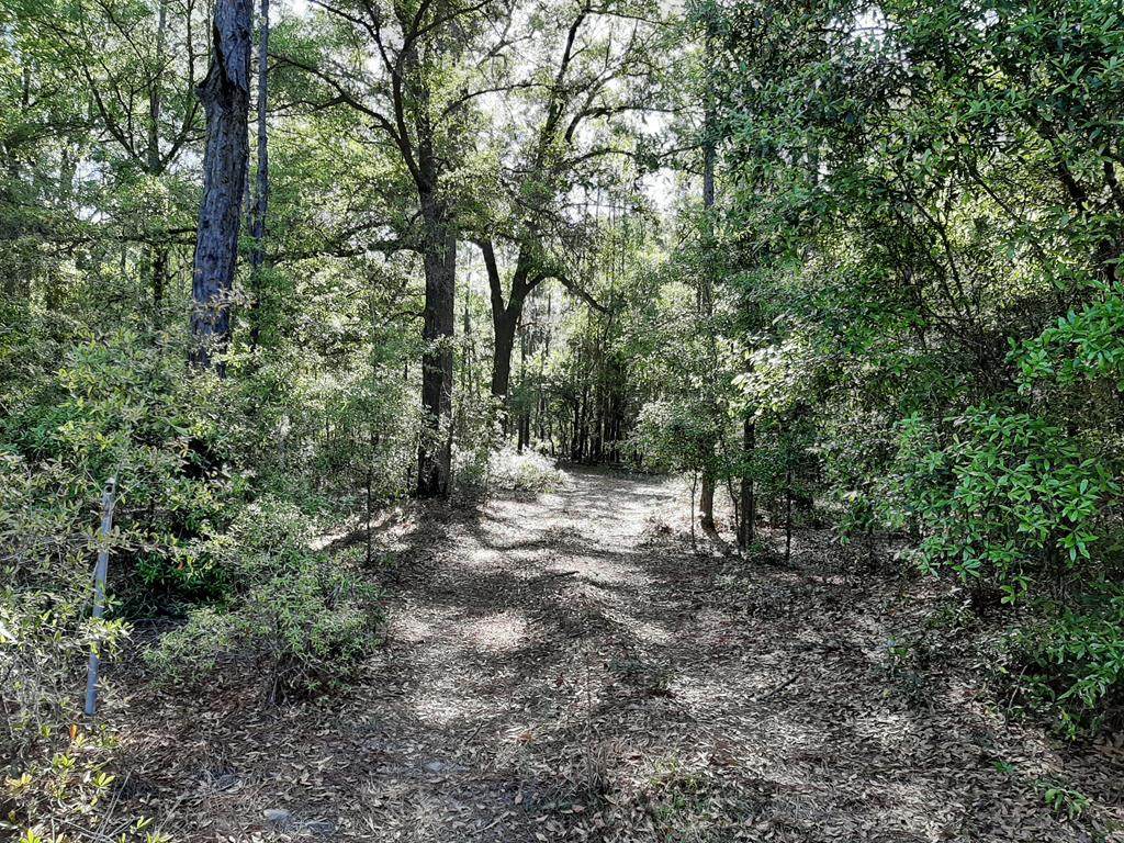 TBD Lot 46th Cir - Photo 1