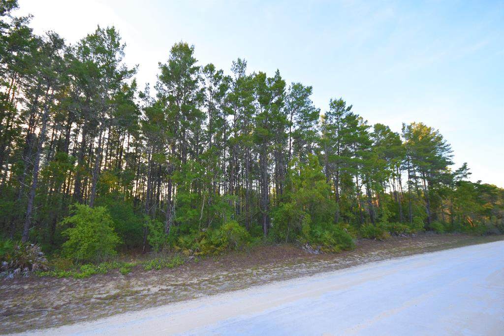 000 Oak Pond Cir - Photo 1