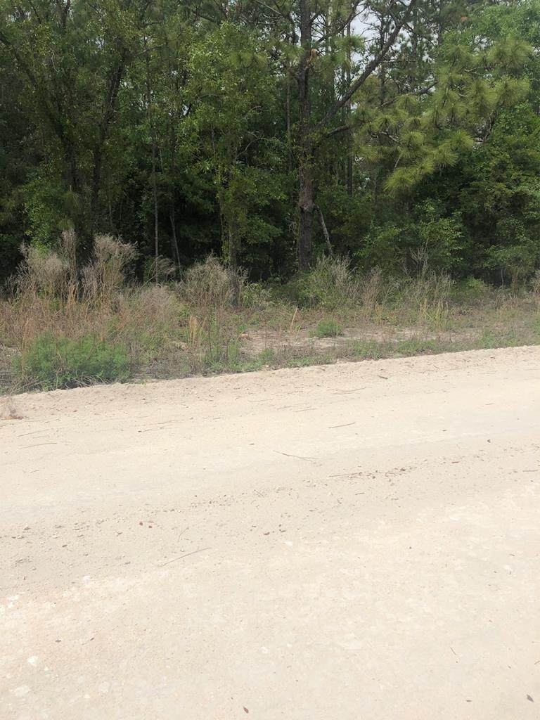 000 11th Street - Photo 1