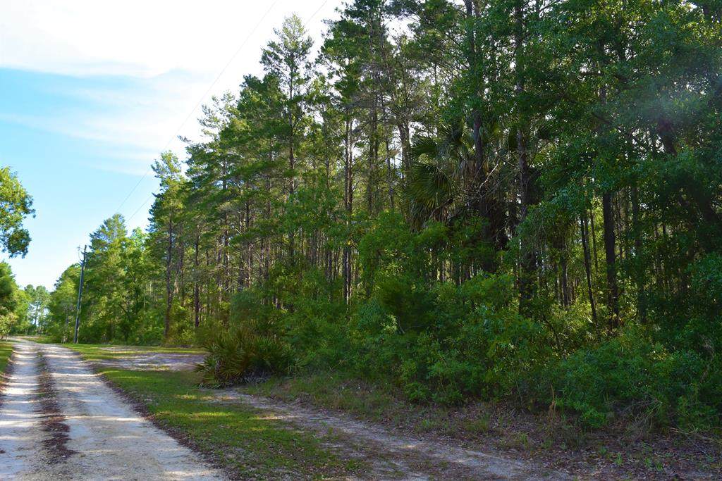 000 Duncan Ln - Photo 1