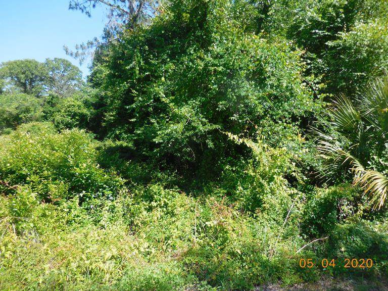 Se Corner Of Ne 453 Ave & Ne 815 St - Photo 1