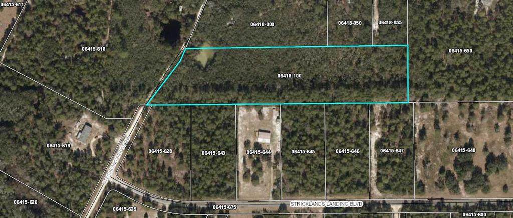 000 Strickland Bridge Rd - Photo 1