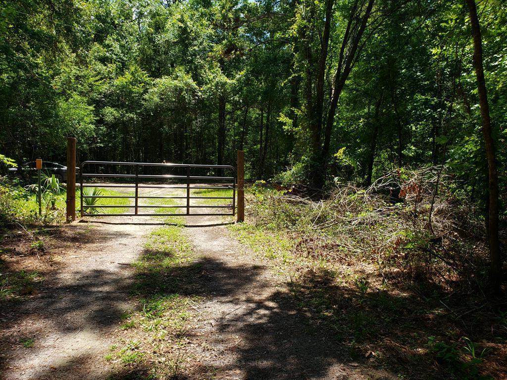 13851 Mitchell Rd - Photo 1