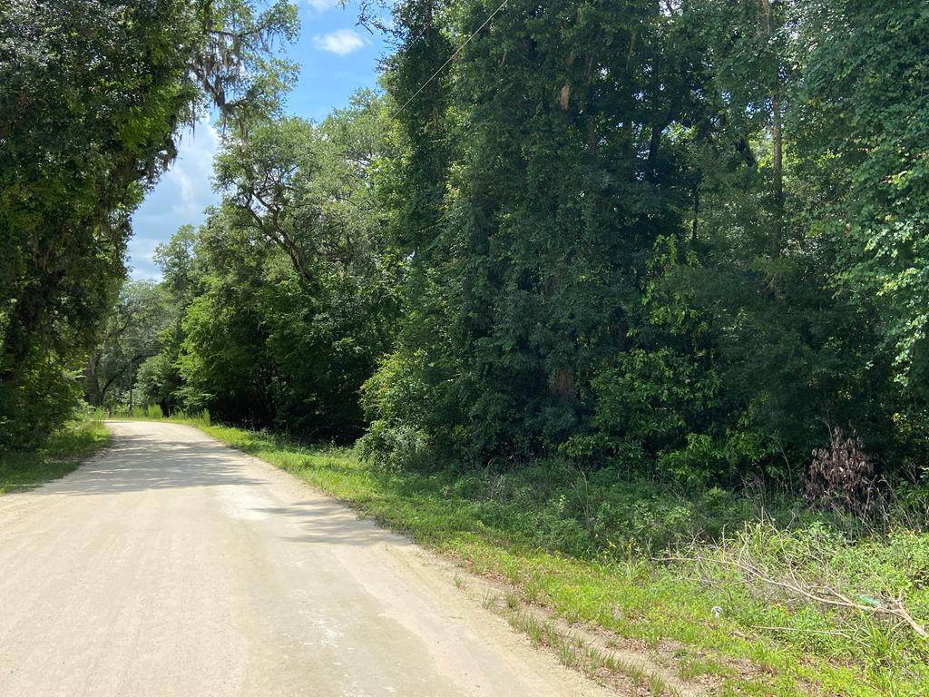 000 385th Ave - Photo 1