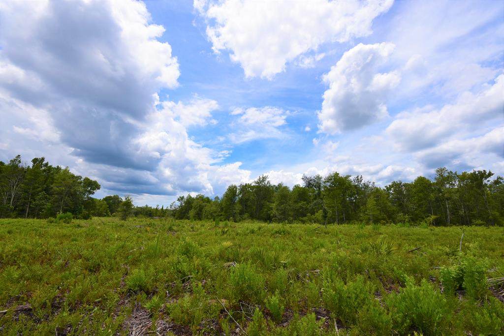 000 876 Ave - Photo 1