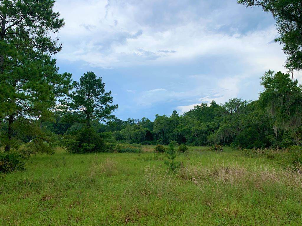 1902 Hwy 351 - Photo 1