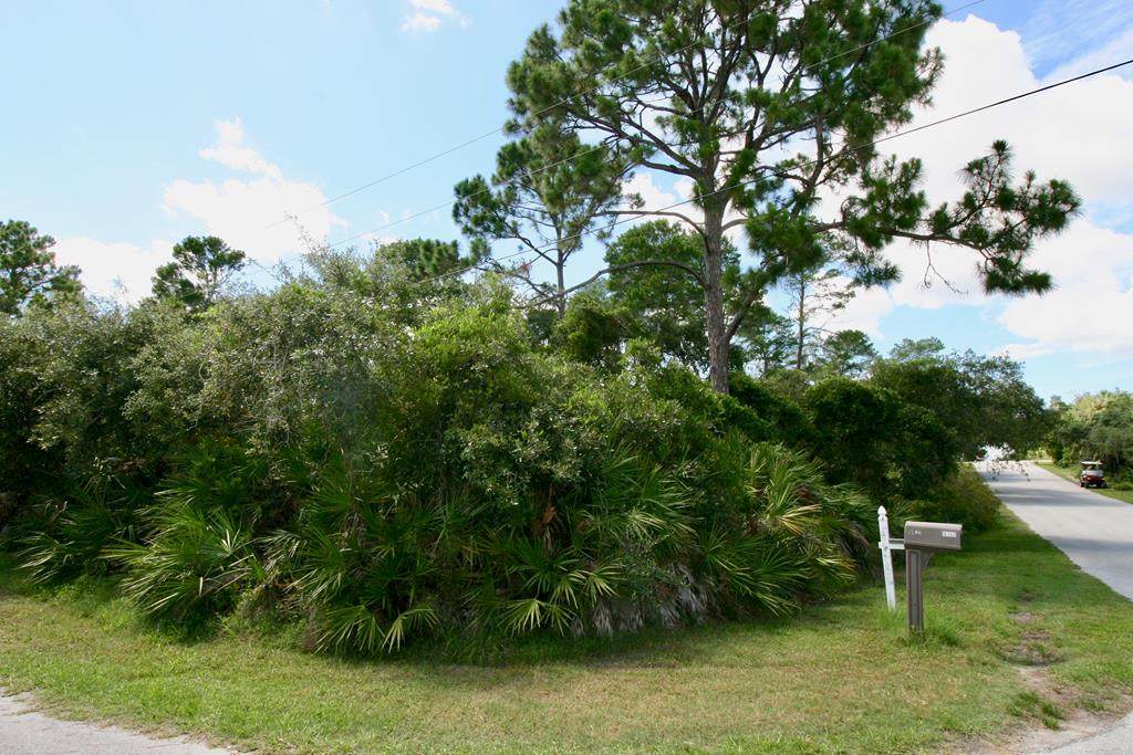 Lot 1 Watson Cir - Photo 1