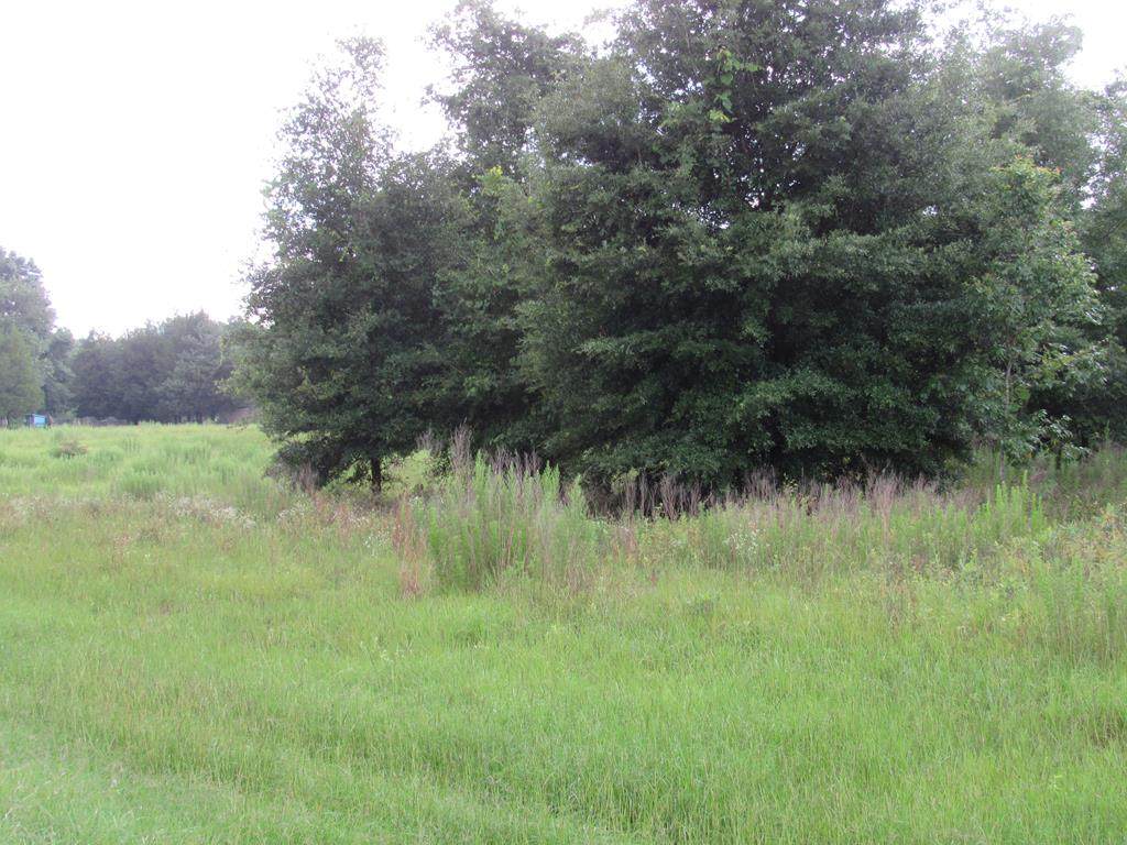 349 Highway - Photo 1