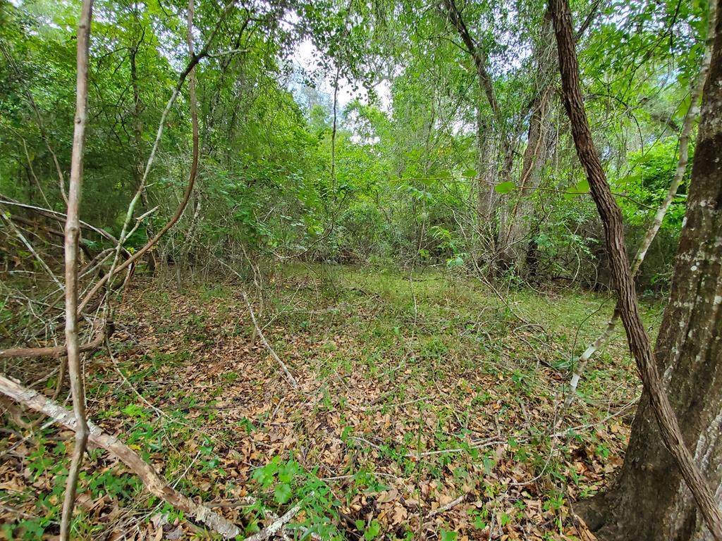 Lot 15 82nd Terrace - Photo 1