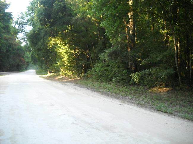 Lot 6 673rd Street - Photo 1