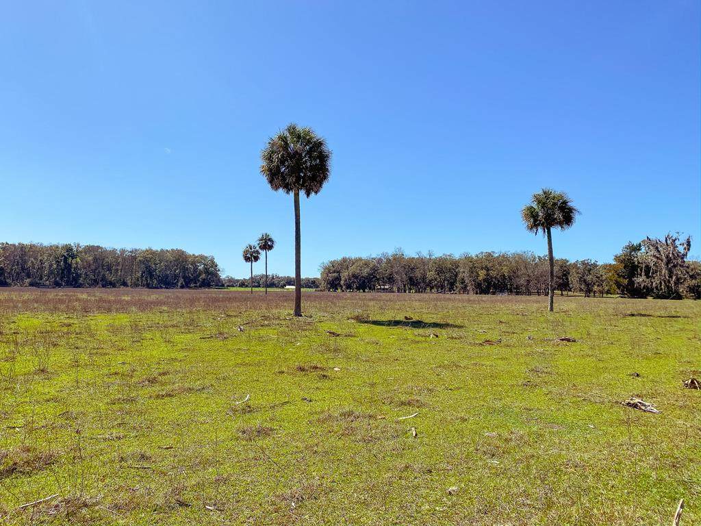 10 ACRES 348 AVENUE - Photo 1