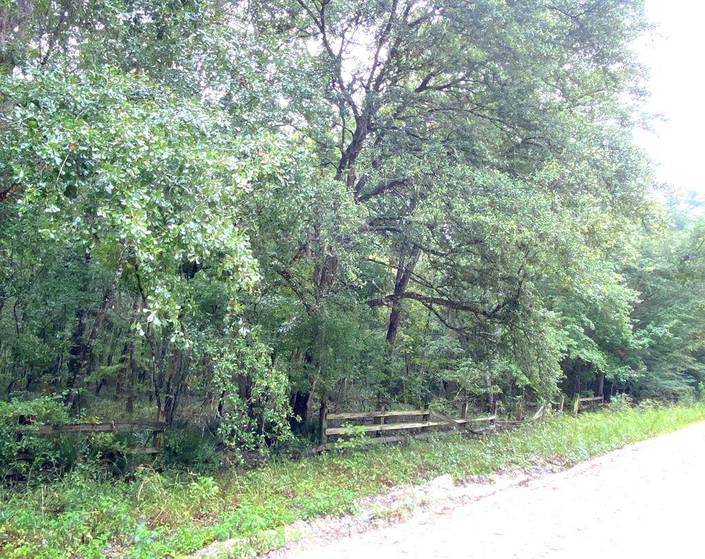 Lot 4&5 83 Drive - Photo 1