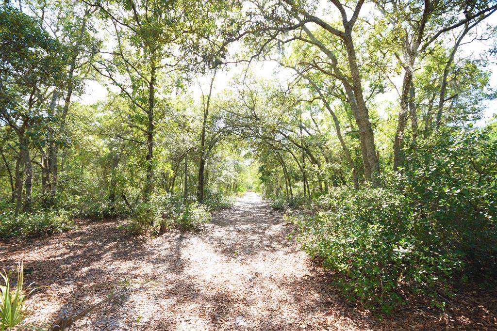000 Hwy 361 - Photo 1