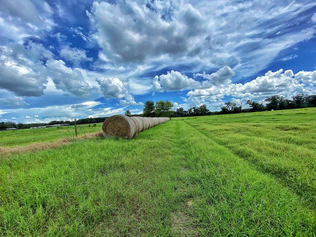 0000 County Road 344 - Photo 1