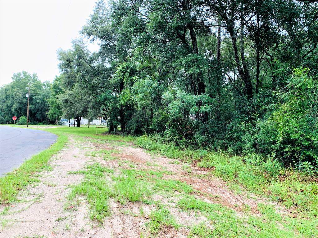 82nd Terr - Photo 1