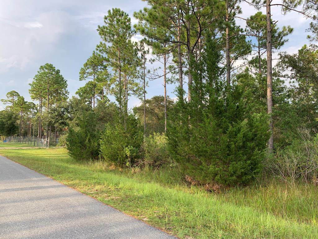 Lot 2 Bird Pond Rd - Photo 1