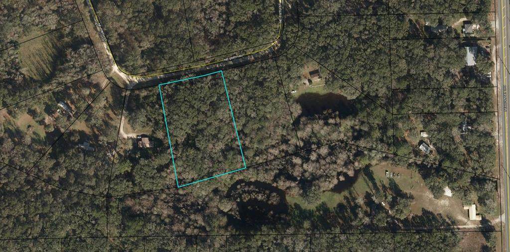 Lot 39 266th Ave - Photo 1
