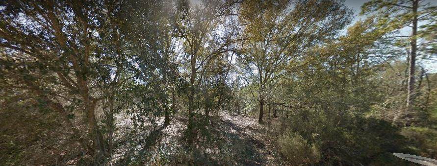 00 85th Street - Photo 1