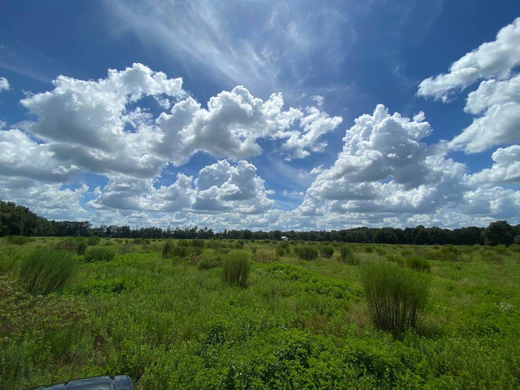 Cr 341 - Photo 1