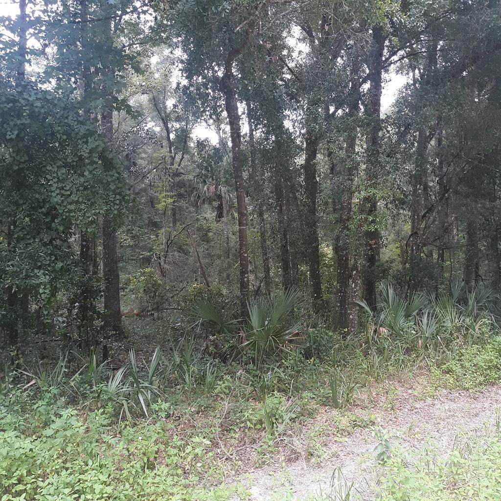 Lot 14 E 673rd Street - Photo 1