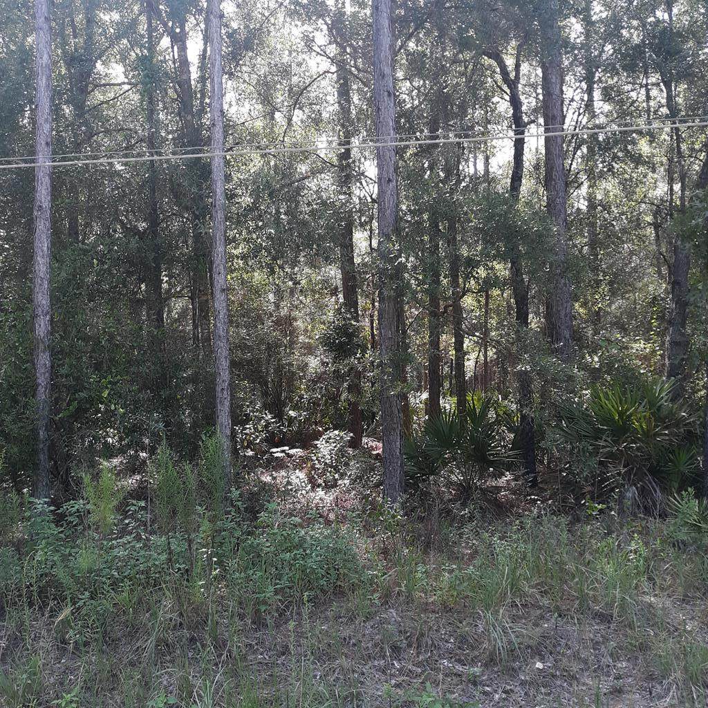 Lot 75 821st Street - Photo 1