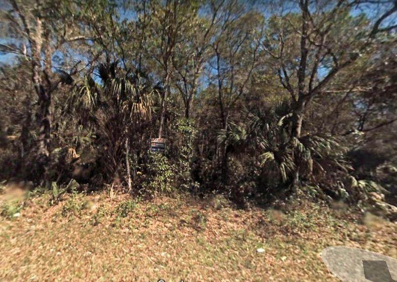 8683 Bellflower Way - Photo 1