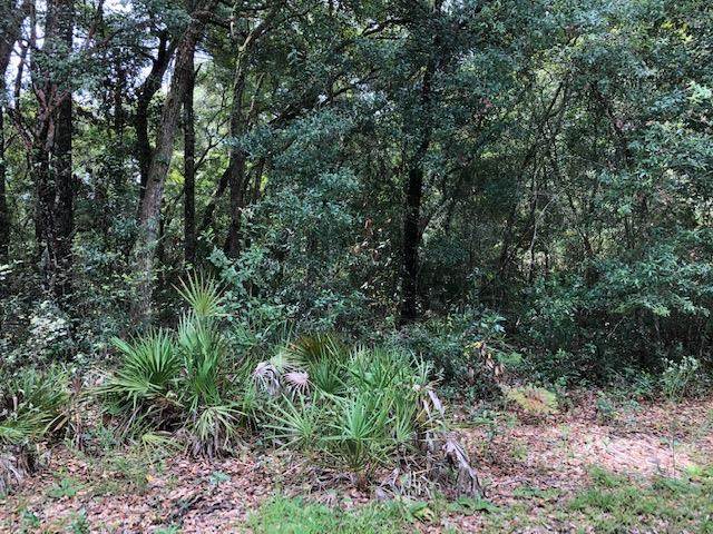 .95 acre 790 St & Ne 441 Ave - Photo 1