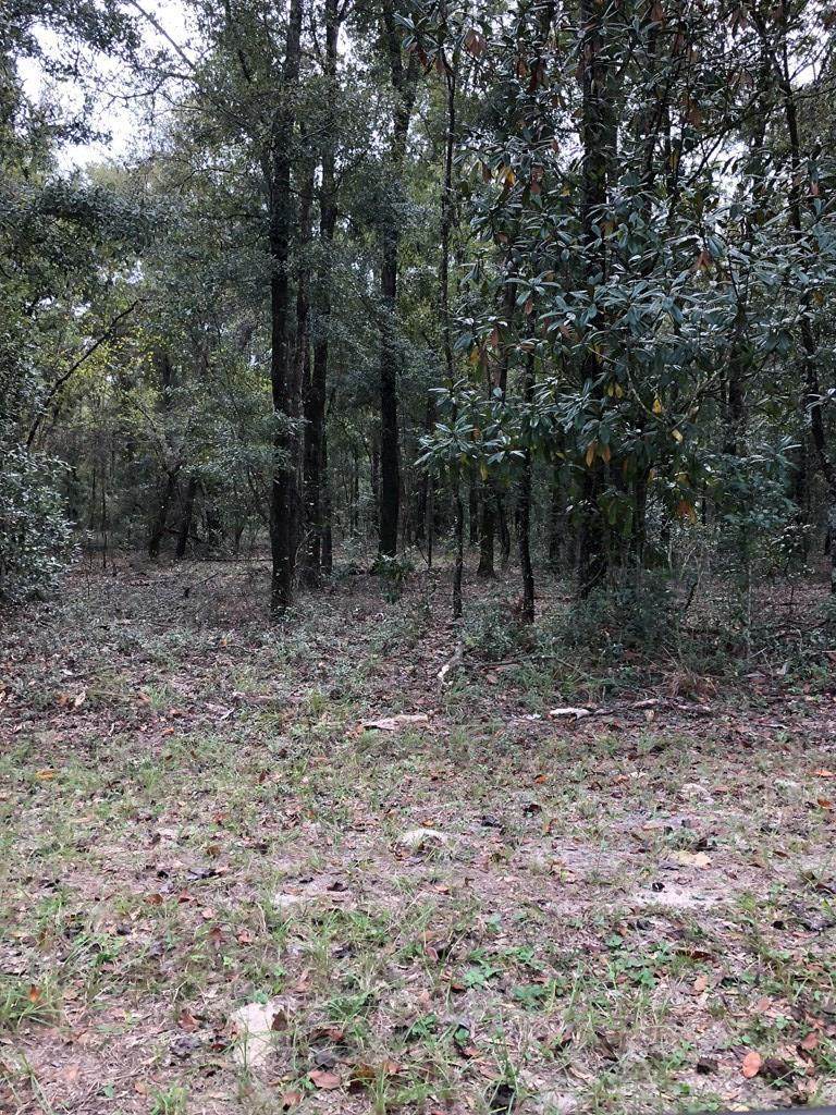 LOT 14 96TH PL & 12TH TER - Photo 1