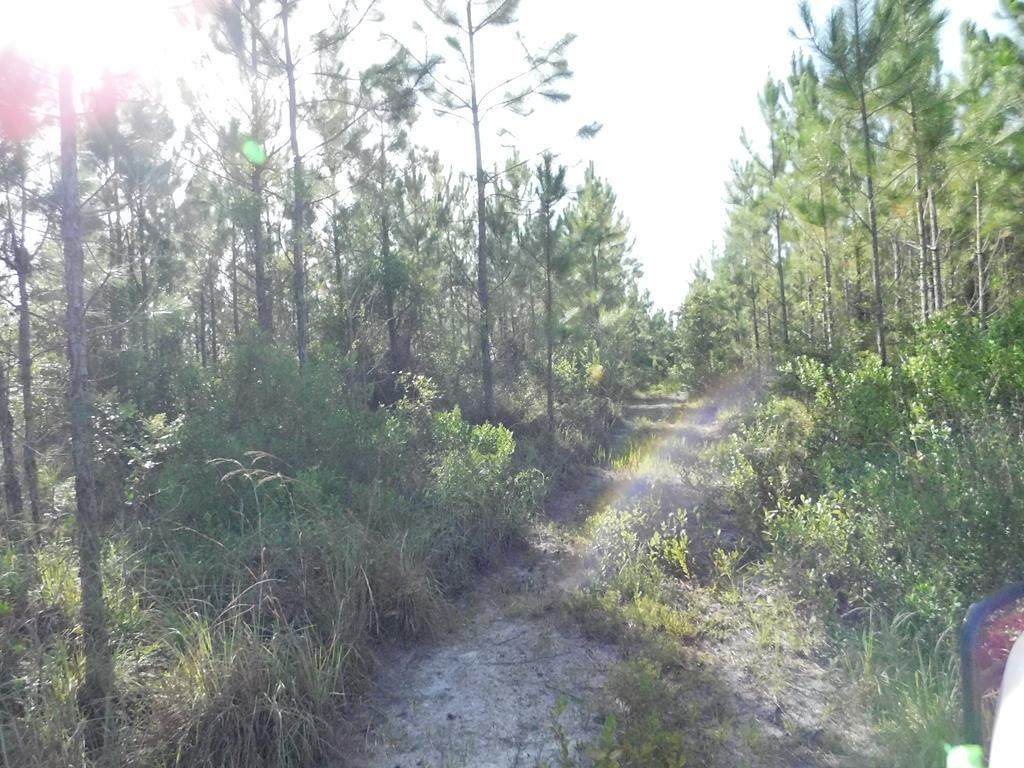 Ne Sr 47 - Photo 1